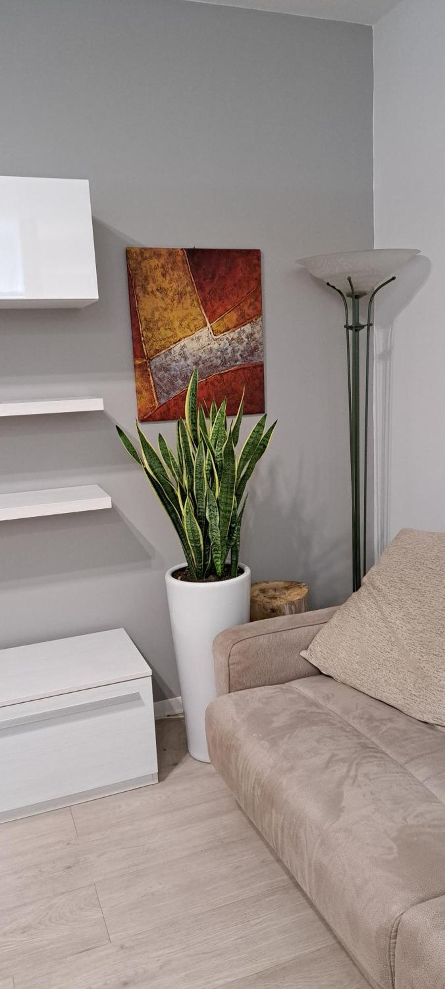 Marco Venice Apartment Extérieur photo